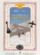 Plakat filmu Shambhala